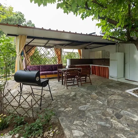 Spacious Seaside House