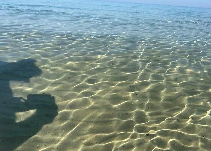 Spacious Seaside House Σπίτι διακοπών Νέα Ποτίδαια